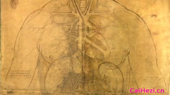 英国白金汉宫的女王画廊将举办达芬奇人体解剖素描图展，这一幅便是其中之一