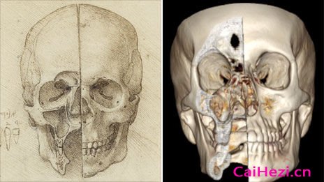 达芬奇绘制的头骨素描图与数字成像技术获取的头骨图像对比
