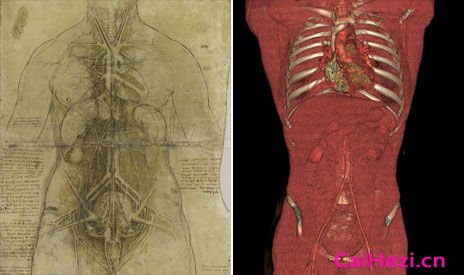 达芬奇绘制的躯干素描图与数字成像技术获取的躯干图像对比