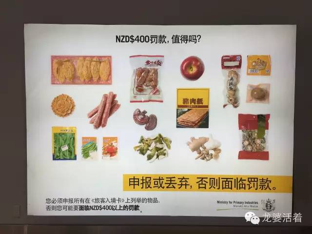 新西兰