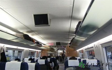 乘警抓获高铁惯偷 春运防小偷必备指南