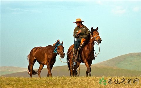 西藏当雄赛马节 初学者怎么骑马 西藏当雄赛马节 初学者怎么骑马