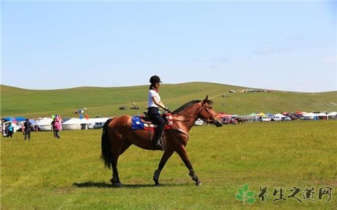 西藏当雄赛马节 初学者怎么骑马 西藏当雄赛马节 初学者怎么骑马