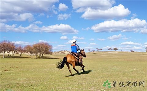 西藏当雄赛马节 初学者怎么骑马 西藏当雄赛马节 初学者怎么骑马