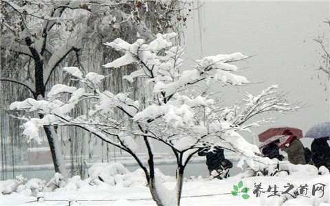 5省将有暴雪 暴雪天气出行注意什么