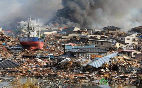 美国阿拉斯加地震 地震逃生法则有哪些